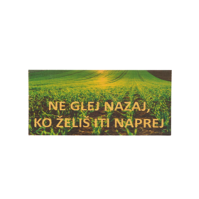 Motivacijska lesena dekoracija: Ne glej nazaj, ko želiš iti naprej