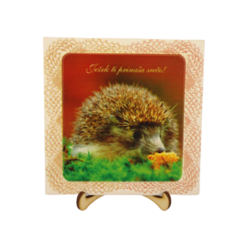 Ježek ti prinaša srečo - keramik dekor