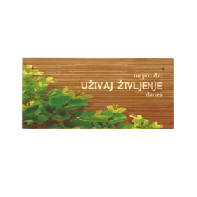 Ne pozabi: uživaj življenje danes / lesena dekoracija / motivacijska