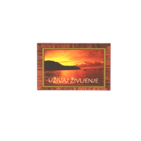 Lesen magnetek z lepo mislijo (več možnosti)