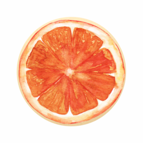 Lesen okrasek pomaranča